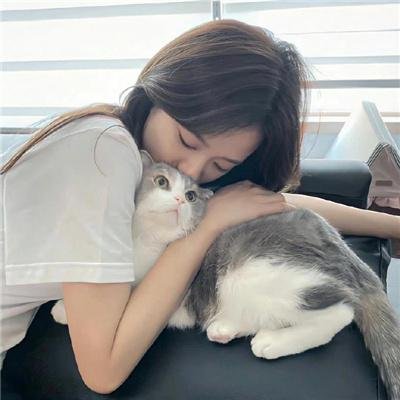 哈里根先生的手机